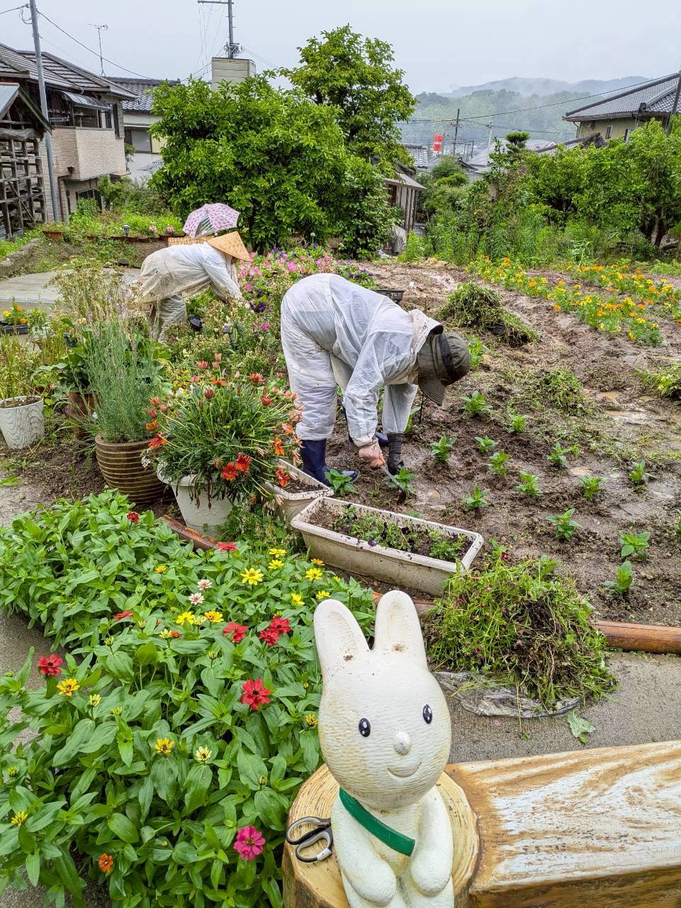 ギャラリー写真3
