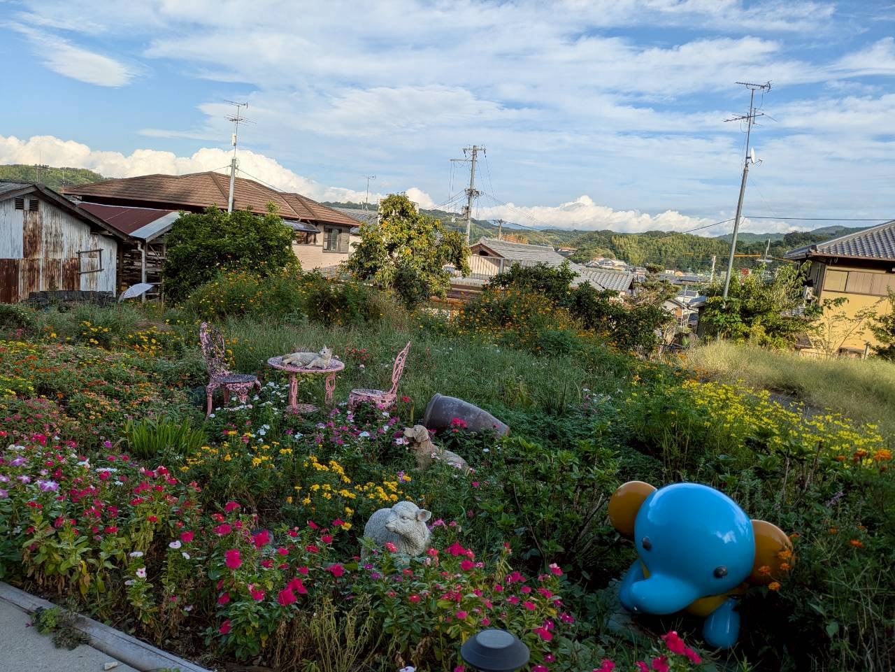 ギャラリー写真4