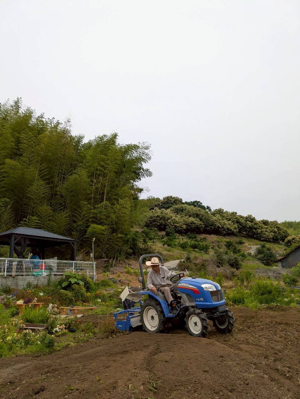 ギャラリー写真6