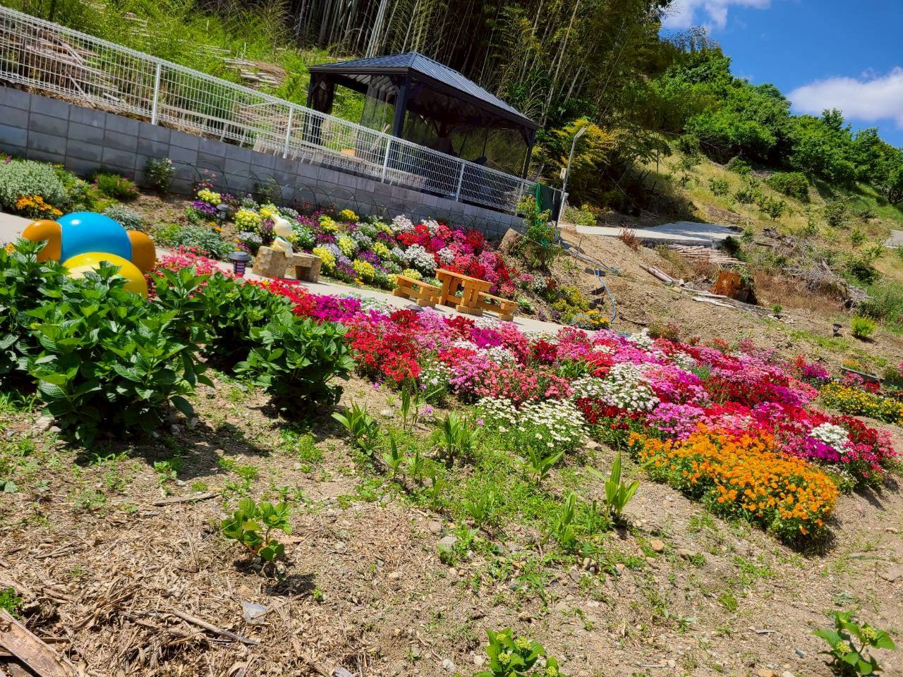 医療・看護体制